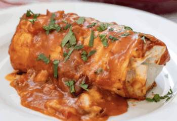 Low Carb Tortilla Wet Spanish Paella Burrito